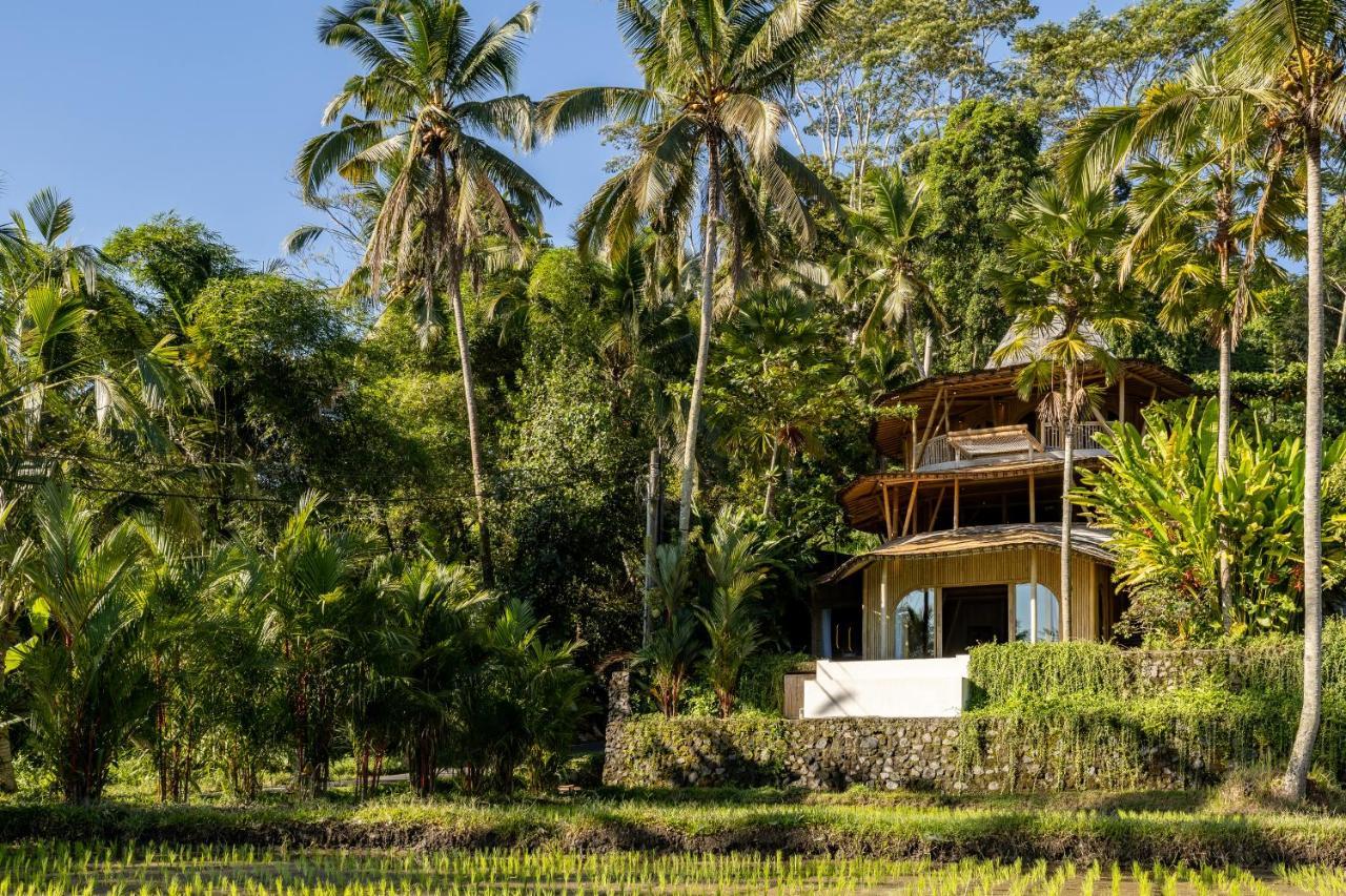 ホテル Eco Six Bali Tampaksiring エクステリア 写真